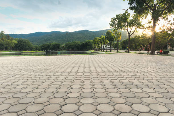 Best Custom Driveway Pavers  in USA